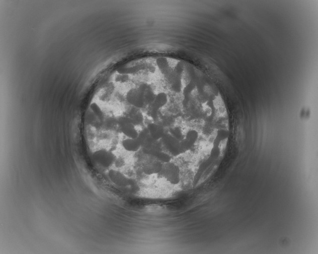 X0000113080591200910091234