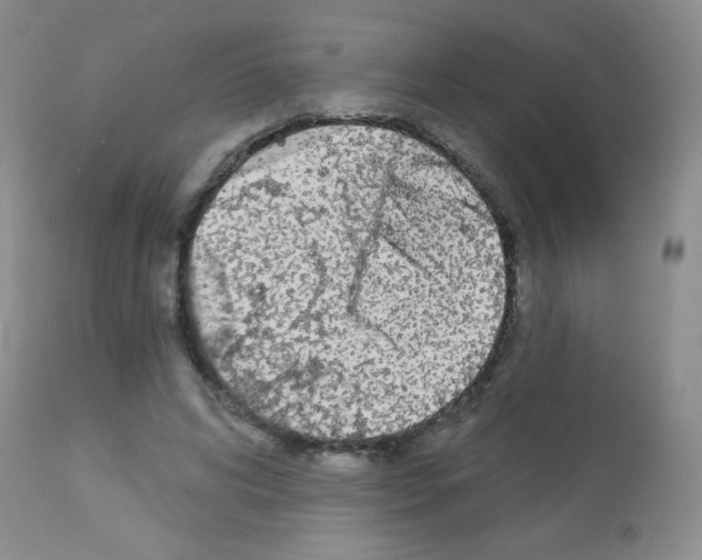 X0000113080592200910091234