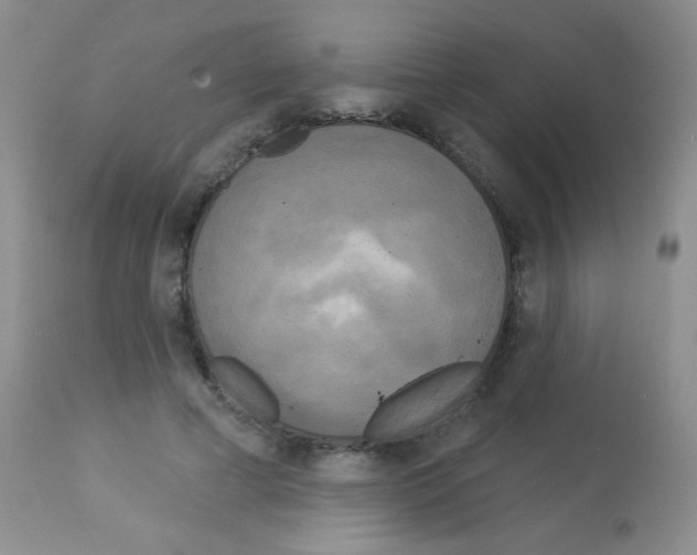 X0000113080593200910091234