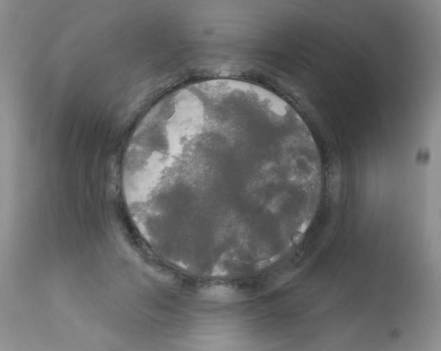 X0000113080594200910091234