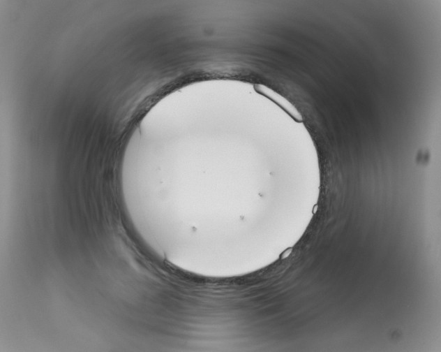 X0000113080596200910091234
