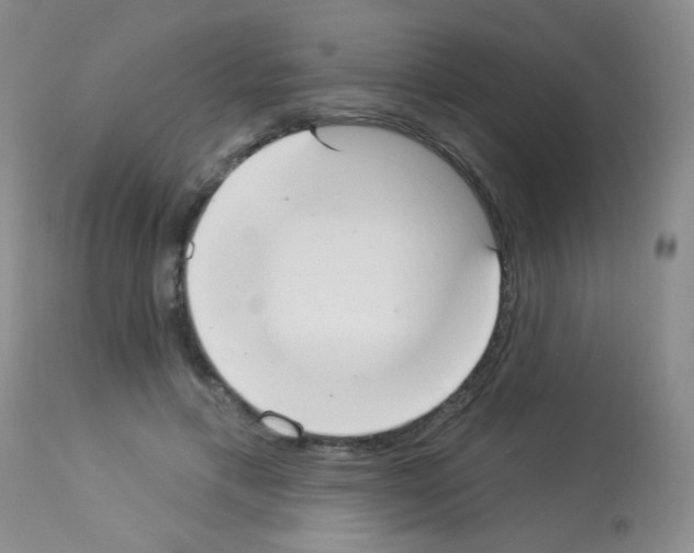 X0000113080597200910091234