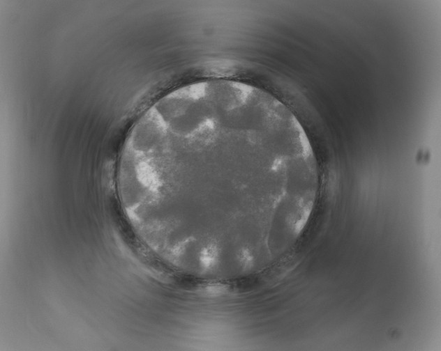 X0000113080598200910091234