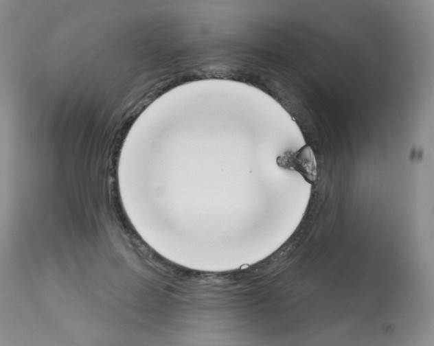 X0000113080599200910091234