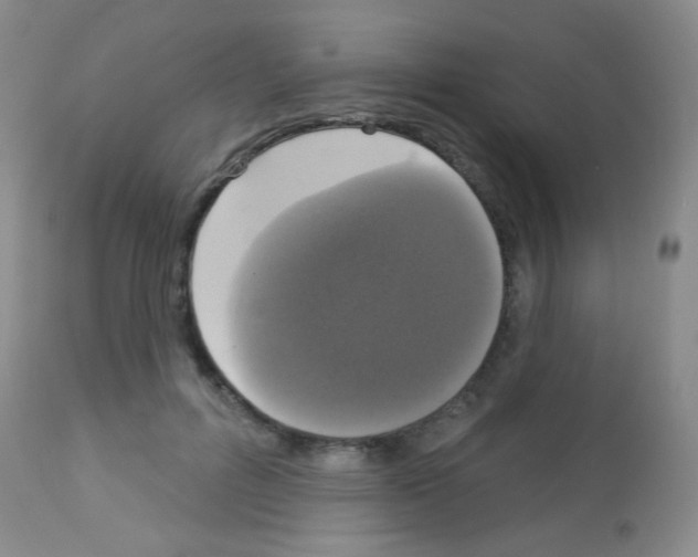 X0000113080600200910091234