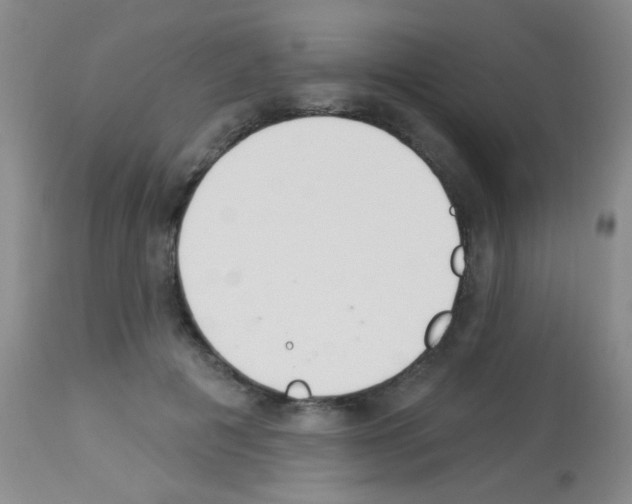 X0000113080601200910091234