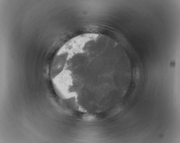 X0000113080602200910091234