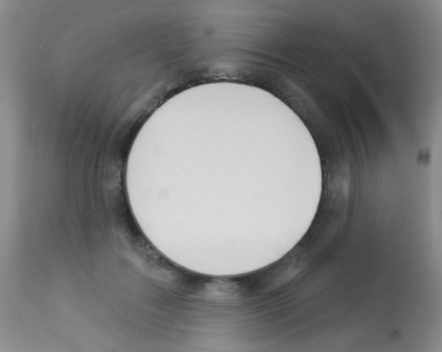 X0000113080603200910091234
