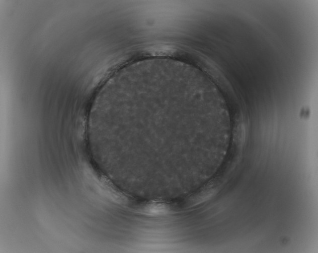 X0000113080604200910091234