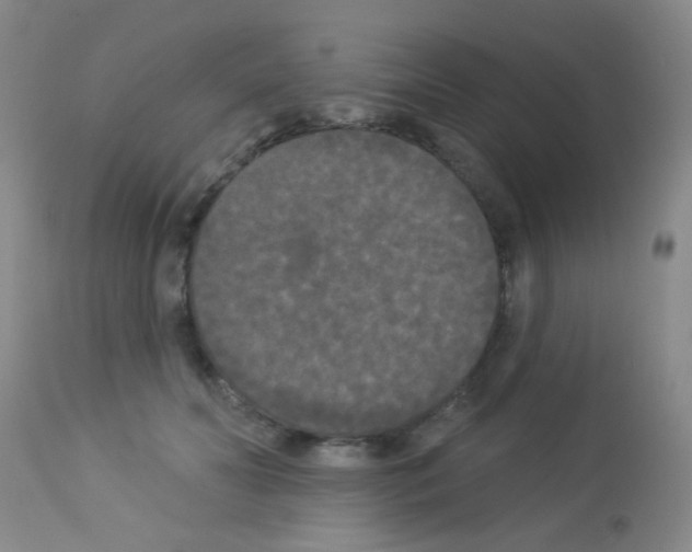X0000113080606200910091234
