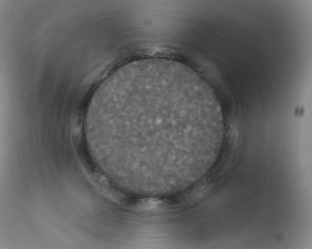 X0000113080607200910091234