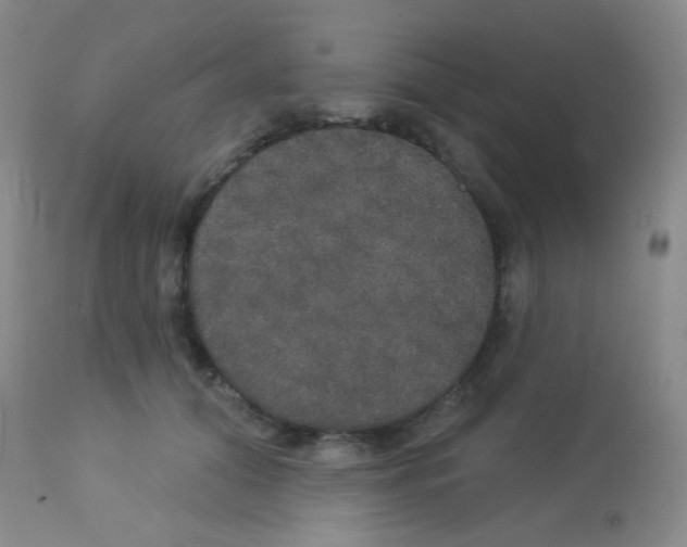 X0000113080608200910091234