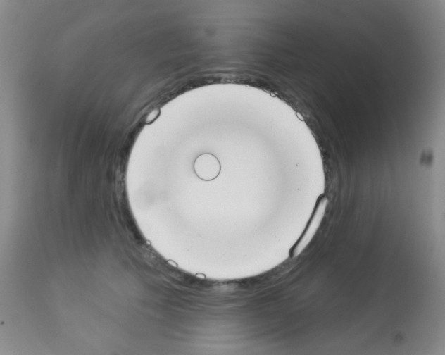 X0000113080609200910091234