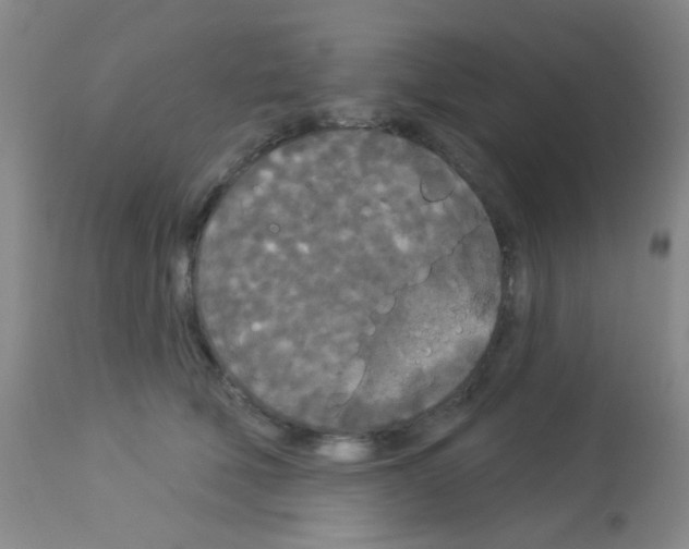 X0000113080610200910091234
