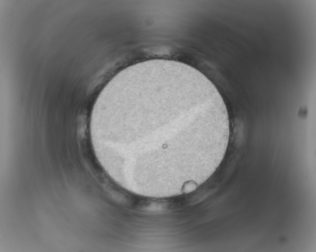 X0000113080612200910091234
