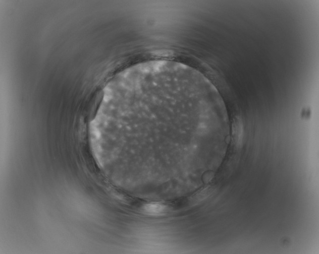 X0000113080614200910091234