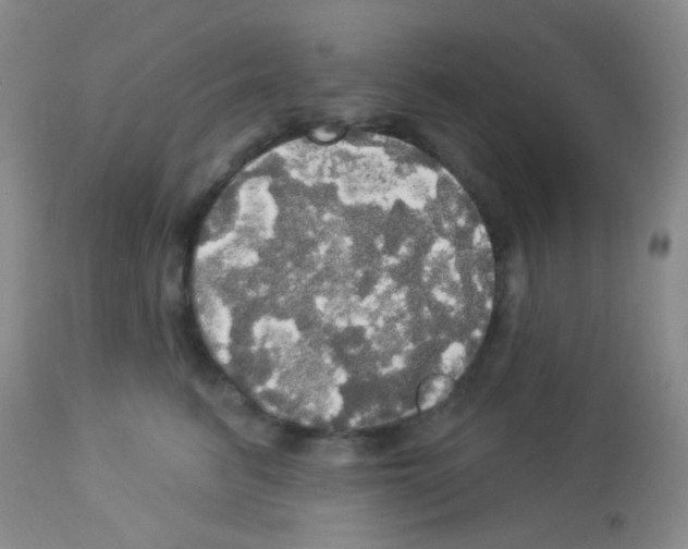 X0000113080615200910091234