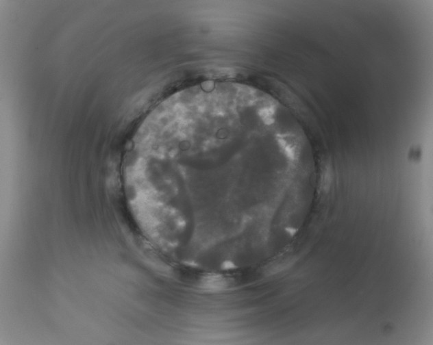X0000113080616200910091234