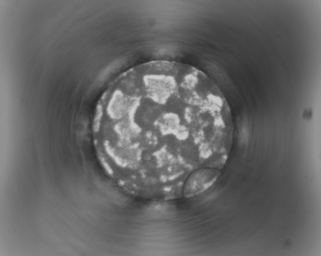 X0000113080619200910091234