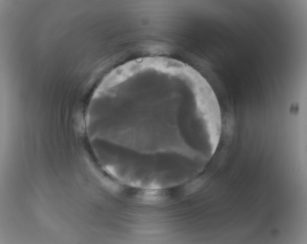 X0000113080622200910091233