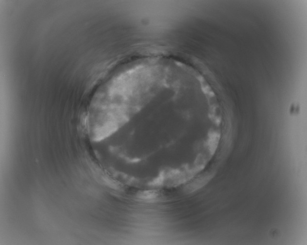 X0000113080624200910091233