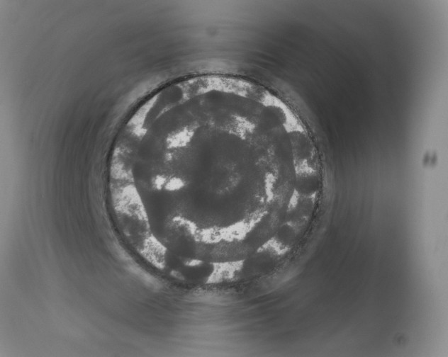 X0000113080625200910091232