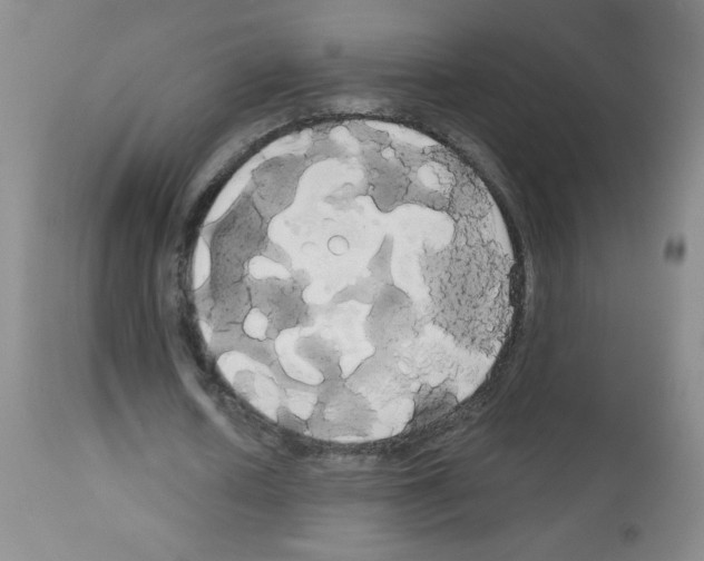 X0000113080626200910091232