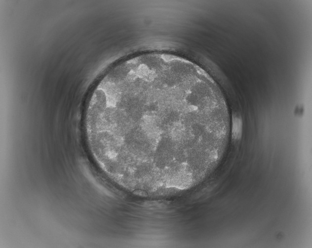 X0000113080627200910091233