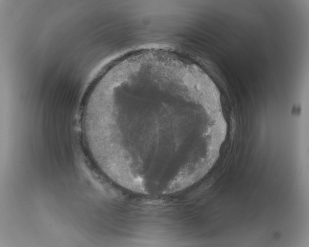 X0000113080628200910091233