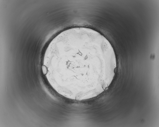 X0000113080630200910091233
