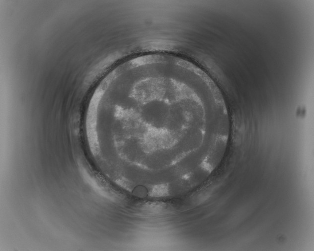 X0000113080631200910091233