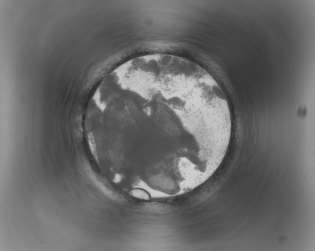 X0000113080633200910091233