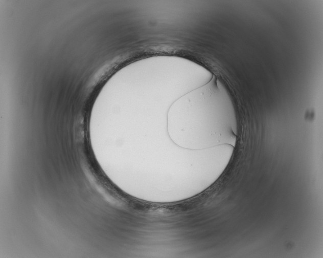 X0000113080634200910091233