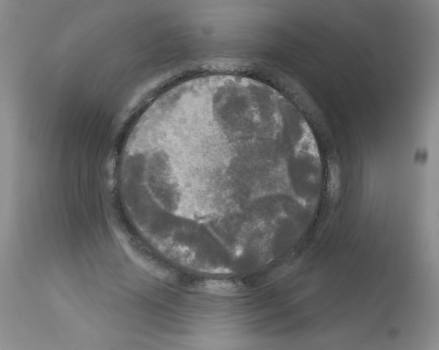 X0000113080636200910091233
