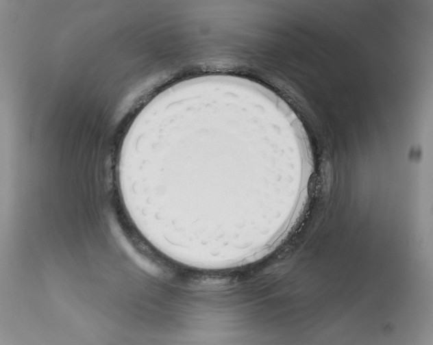 X0000113080638200910091233