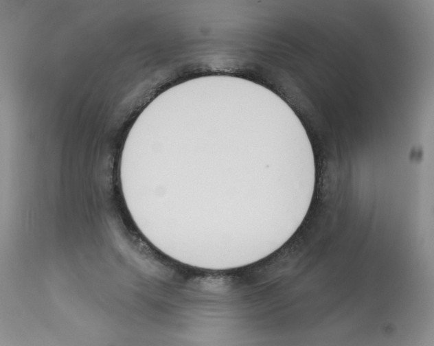 X0000113080639200910091233