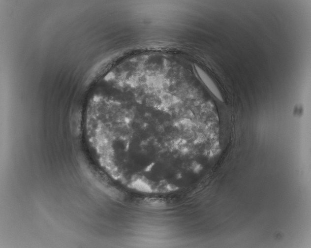 X0000113080640200910091233