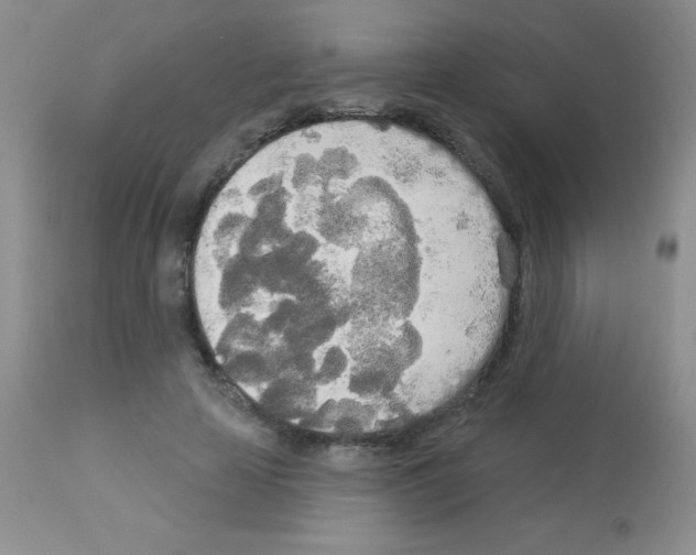 X0000113080641200910091233
