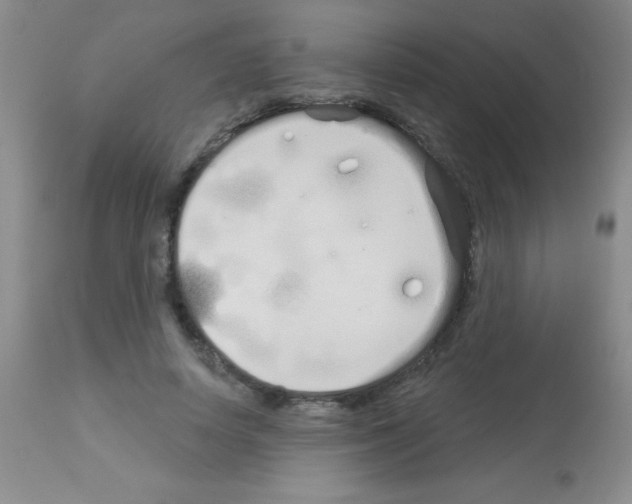 X0000113080642200910091233