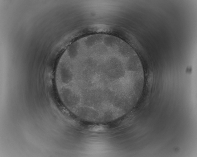 X0000113080643200910091233