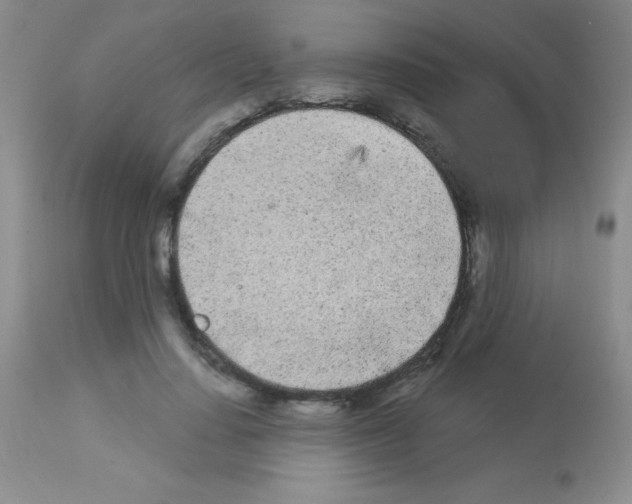 X0000113080644200910091233