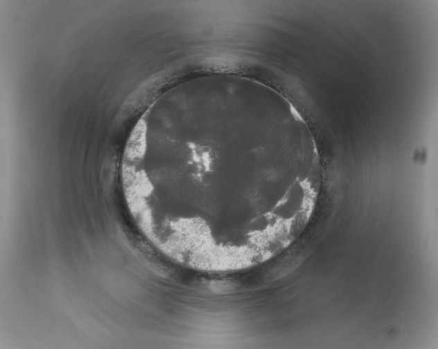 X0000113080645200910091233