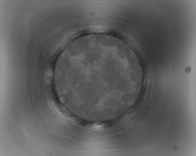X0000113080647200910091233