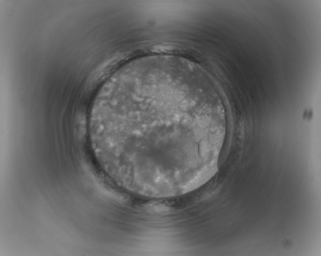 X0000113080648200910091233
