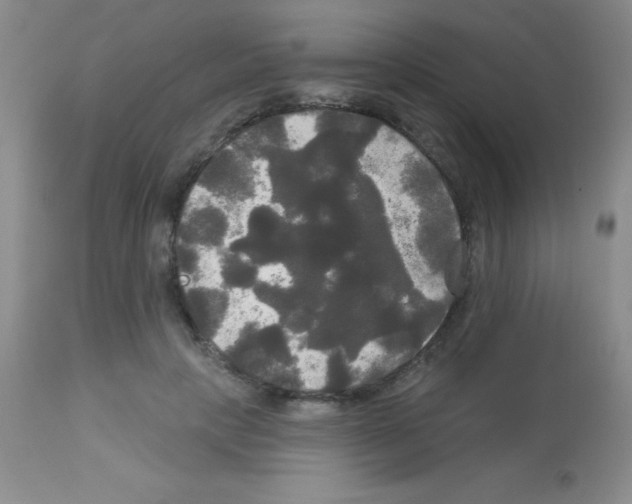 X0000113080649200910091233