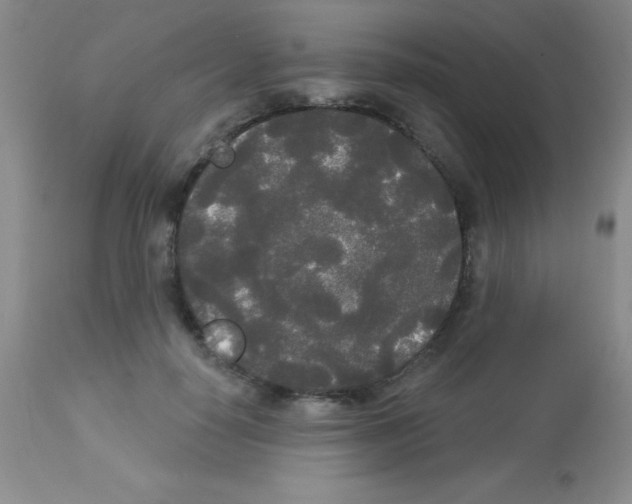 X0000113080650200910091233