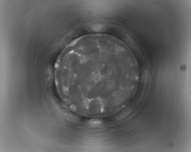 X0000113080651200910091233