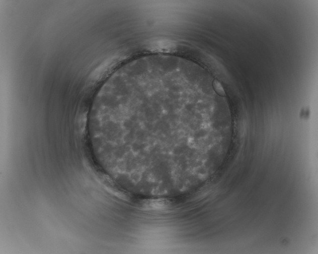 X0000113080652200910091233