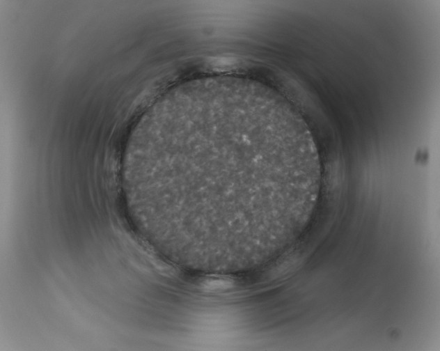 X0000113080653200910091233
