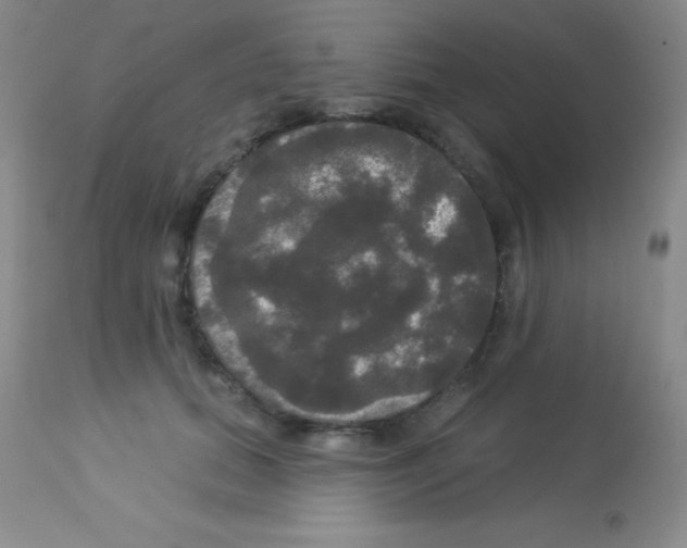 X0000113080655200910091233